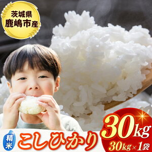 yӂ邳Ɣ[Łzߘa7NYā  RVqJ Iׂ   5kg/10kg/30kg sYyЂ  R ͂ CX uh 錧 sz