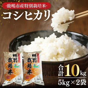 yӂ邳Ɣ[ŁzyIׂeʁzyߘa7NYzs̎qǂHׂĂʍ͔|ăRVqJ5kgE10kgy  Ђ ʍ͔| L@엿 L@͔| s 錧  V 