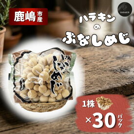 【ふるさと納税】 ぶなしめじ 1株×30パック しめじ 国産 純国産 健康 きのこ 茸 安心 安全 低カロリー 国産 食物繊維 農薬不使用 まろやか ビタミンB ご家庭用 こだわり おかず マッシュルーム mushroom kinoko 茨城県産 鹿嶋市産 ふるさと納税 茨城県 鹿嶋市