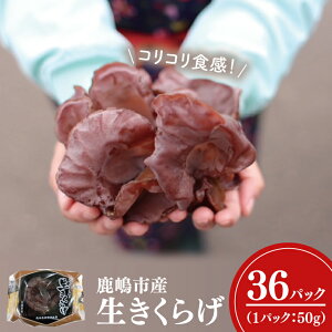 yӂ邳Ɣ[ŁzRRHI炰 50g×36pbN v1.8kg ̂ 炰  ؎ ① 錧Y Y iKL-3j