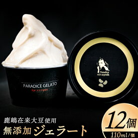 【ふるさと納税】農家が作る自然栽培・無添加ジェラート12個【鹿嶋市 茨城 かしま 送料無料 フルーティー ナチュラル 無添加 オーガニック 豆乳 アイス デザート スイーツ 贈答 ギフト プレゼント 手土産 】（KW-16）