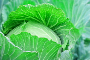 yӂ邳Ɣ[Łzys\zt[cLxci5kgjyYn Ԍ lC o׎ ׂ   s 錧 ziKAG-30j