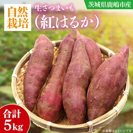 【ふるさと納税】【先行予約】【10月中旬～11月末発送品】【自然栽培】紅はるか_生さつまいも(5kg) （KAG-34）