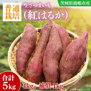 yӂ邳Ɣ[Łzy10{`11܂ł̔iIzyʍ͔|zg͂邩 ܂(4kg+25%⏞)@v 5kgyTc}C   ׂɂ͂邩 R͔| VN Ă ϕ VՂ XC