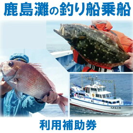 【ふるさと納税】 釣り 鹿島灘の釣り船 利用補助券 選べる枚数 フィッシング アクティビティ 夏休み ギフト 送料無料 鹿嶋灘 釣り つり 釣り船 乗船券 補助券 利用券 魚釣り 船釣り 乗船 フィッシング fishing 茨城県 鹿嶋市