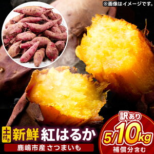 yӂ邳Ɣ[Łz_s\^ 󂠂 ܂ g͂邩 VN yt Iׂ 5kg/10kg ⏞܂ށyׂɂ͂邩 Tc}C g͂邩  e lC 錧 s 10000~ȉz