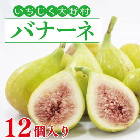 【ふるさと納税】【数量限定】【7月～9月発送】いちじく大野村 (バナーネ) 12個入 フルーツ　果物（KAE-4）