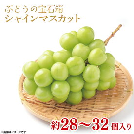 【ふるさと納税】 シャインマスカット 【先行予約】 数量限定 粒どり 約28~32個入り 約800g ぶどう 葡萄 フルーツ くだもの 果物 果実 旬 産地直送 ぶどうの宝石箱 お取り寄せ ギフト プレゼント 贈答 贈り物 人気 ふるさと納税 送料無料 茨城県 鹿嶋市