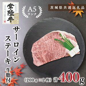 yӂ邳Ɣ[Łzy錧ʕԗizy헤A5NzT[CXe[L@400gi200g×2j(KCK-1)