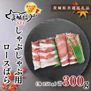 yӂ邳Ɣ[Łzy錧ʕԗizy؁zԂԗp300gi[X150gE΂150gj(KCK-15)
