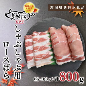 yӂ邳Ɣ[Łzy錧ʕԗizy؁zԂԗp800gi[X400gE΂400gj(KCK-17)