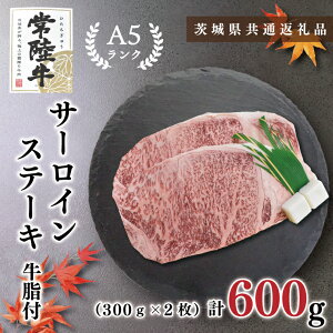 yӂ邳Ɣ[Łzy錧ʕԗizy헤A5NzT[CXe[L@600gi300g×2j(KCK-2)