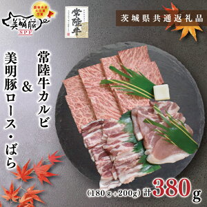 yӂ邳Ɣ[Łzy錧ʕԗizy헤A5NE؏ēZbgz헤Jr180g{200gi[X100gE΂100gjiKCK-22j