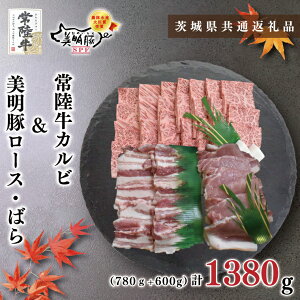 yӂ邳Ɣ[Łzy錧ʕԗizy헤A5NE؏ēZbgz헤Jr780g{600gi[X300gE΂300gjiKCK-24j