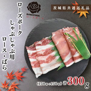 yӂ邳Ɣ[Łzy錧ʕԗizy[Y|[NzԂԗp300gi[X150gE΂150gjiKCK-39j