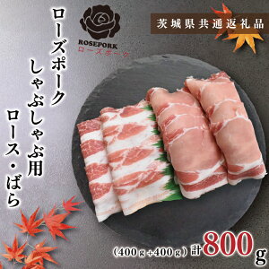 yӂ邳Ɣ[Łzy錧ʕԗizy[Y|[NzԂԗp800gi[X400gE΂400gjiKCK-41j