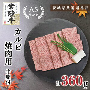 yӂ邳Ɣ[Łzy錧ʕԗizy헤A5NzJrēp360g(KCK-5)