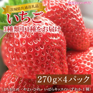 yӂ邳Ɣ[Łzys\zy1{`3zy錧ʕԗiziƂƂ߁E悢Ђ߁E΂LbX̂ꂩ1j270g×4pbNiKCM-23j
