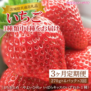 yӂ邳Ɣ[Łzy3ցzy1{`3zys\zy錧ʕԗiziƂƂ߁E悢Ђ߁E΂LbX̂ꂩ1j270g×4pbNiKCM-24j