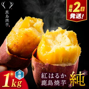 yӂ邳Ɣ[ŁzylCԗizĈ  1kg Iׂ ʏ픭 D攭 s\iVjy① ₵ Ă ₫ ܂  َq  fU[g XC[c aَq aXC