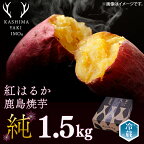 鹿島焼芋　純　1.5kg（KBK-8）