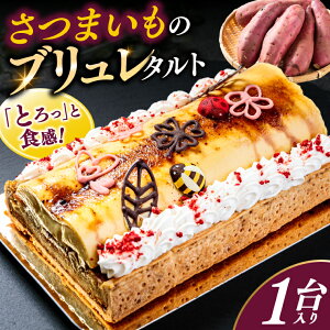 yӂ邳Ɣ[Łz ܂̃u^g 1 yu^g P[L َq fU[g ܂ XC[c mَq lC ߁z(KCX-41)