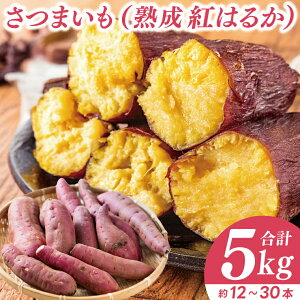 【ふるさと納税】★先行予約★ 訳あり さつまいも ( 紅はるか ) 約5kg 完熟 高糖度 不揃い \ 選べる サイズ /【熟成 サツマイモ べにはるか 焼き芋 訳アリ わけあり キュアリング 茨城県 鹿