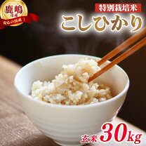 楽天市場】茨城コシヒカリ玄米30キロの通販