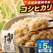 楽天市場】新米 茨城県 こしひかりの通販