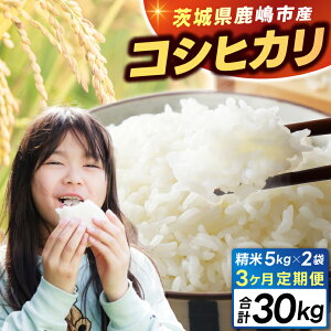 yӂ邳Ɣ[ŁzV ߘa7N    Ђ Iׂ s\ 5kg / 10kg / 30kg /  3/6 sYyߘa7NY RVqJ  R ͂ CX uh 錧 