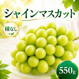【ふるさと納税】 シャインマスカット 種なし 1房 約550g ぶどう 葡萄 フルーツ 果実 旬 産地直送 ギフト 贈答 プレゼント 贈り物 果物 くだもの しゃいんますかっと 国産 お取り寄せ ふるさと納税 茨城県 鹿嶋市 【2026年9月より順次発送】