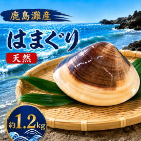 【ふるさと納税】 はまぐり 蛤 鹿島灘産 約1.2kg 砂抜き 済み 天然 国産 貝 産地直送 冷蔵 海鮮 魚介類 海産物 肉厚 新鮮 魚 貝 だし ダシ 出汁 味噌汁 酒蒸し グラタン お吸い物 網焼き BBQ 鹿島灘 人気 おすすめ お取り寄せ グルメ 美味しい 送料無料 茨城県 鹿嶋市
