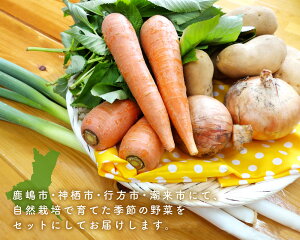 yӂ邳Ɣ[Łzy10ցzy͔|Ԕ_sgpzG߂̖؃n[tZbgi6`7ijyR N _ Ȃ  S ₳ 10 sziKBE-112j