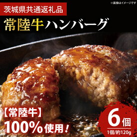 【ふるさと納税】常陸牛100％ ハンバーグ 約120g×6個 【牛肉 国産牛 黒毛和牛 和牛 国産黒毛和牛 ブランド牛肉 ブランド牛 お肉 A4ランク A5ランク 鹿嶋市 鹿嶋 茨城県】(KCW-9)