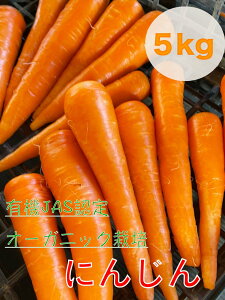 yӂ邳Ɣ[Łzys\zɂ񂶂 5kg {̈S؁ylQ jW _ L@ ͔|  T_  I[KjbN   lC h{ 錧 sz (KAX-15)