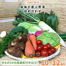 【ふるさと納税】自然栽培『身体が喜ぶ野菜』詰め合わせ(おまかせ)潮来はぐくみのもり【配送不可地域：離島】【1056424】