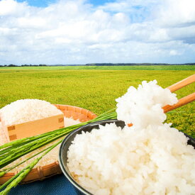 【ふるさと納税】【令和5年度産】特別栽培米コシヒカリ　精米10kg【1498101】