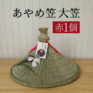 yӂ邳Ɣ[Łzߊ} }  1  BF{Ygp `H|i } Xq aG El 錧 s (A24-004)