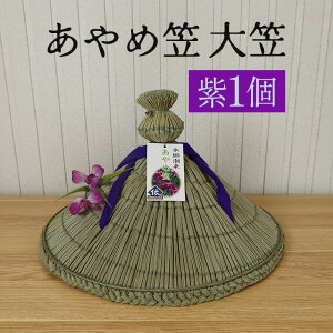 yӂ邳Ɣ[Łzߊ} }  1  BF{Ygp `H|i } Xq aG El 錧 s (A24-004)
