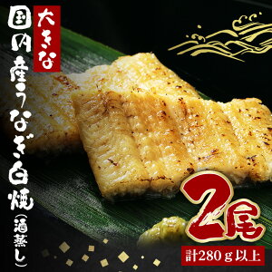 yӂ邳Ɣ[Łz傫ȍYȂ() 140`160g 2 v280gȏ Ȃ V EiM     ^ R t ȒP p Mtg j yp̉N̓ ① Y 錧 