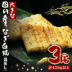 yӂ邳Ɣ[Łz傫ȍYȂ() 140`160g 3 v420gȏ Ȃ V EiM     ^ R t ȒP p Mtg j yp̉N̓ ① Y 錧 