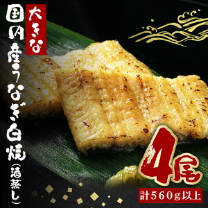 yӂ邳Ɣ[Łz傫ȍYȂ() 140`160g 4 v560gȏ Ȃ V EiM     ^ R t ȒP p Mtg j yp̉N̓ ① Y 錧 