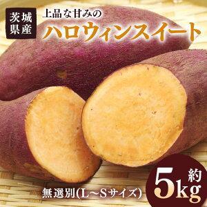 yӂ邳Ɣ[Łz ܂ nEBXC[g 5kg I(L`STCY) 錧Y J{`  Ă َq nEB R̊Â XC[c  Tc}C 錧 s (A52-005)