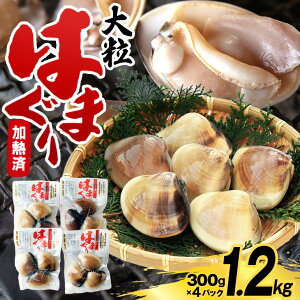 �y�ӂ邳�Ɣ[�Łz ��錧�Y �嗱�͂܂��� ���M�� 300g×4�p�b�N ���Y �͂܂��� �n�}�O�� ������Y �������s�v �����ȒP ������ ���z���� ������ �L���X�̌��I�i �����p �M�t�g �퉷 ��錧