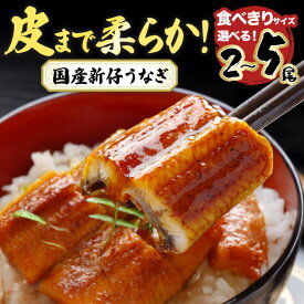 【ふるさと納税】 やわらか国内産 うなぎ蒲焼 食べ切りサイズ! 選べる 2尾〜5尾 (100〜120g×2尾〜5尾) 食べ切りサイズ ふっくら蒲焼き ブランド鰻使用 秘伝のタレ・山椒付き 湯煎で簡単調理 うな丼 ちらし寿司 贈答用 ギフト 冷蔵配送 国産 茨城県 潮来市 (A23-011)