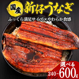 【ふるさと納税】 やわらか国内産 うなぎ蒲焼 満足サイズ! 選べる 2尾～5尾 (120～140g×2尾～5尾) ふっくら蒲焼き ブランド鰻使用 秘伝のタレ・山椒付き 湯煎で簡単調理 うな丼 ちらし寿司 贈答用 ギフト 冷蔵配送 国産 茨城県 潮来市 (A23-012)