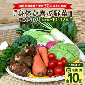 【ふるさと納税】 ＜発送月固定定期便＞『身体が喜ぶ野菜』詰め合わせ ( おまかせ 10〜12品) 定期便 野菜 詰合せ 上旬発送全10回 詰め合わせセット お任せ 野菜定期便 季節の野菜 セット 有機栽培 EM農法 産地直送 野菜ボックス ギフト 家庭用 茨城県 潮来市 (A03-020)