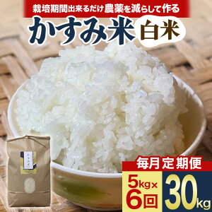 yӂ邳Ɣ[Łz yցzSƐĝx肾͔|Ԓo邾_炵čuݕāv 5kg S6   Y 錧 s (A03-047)