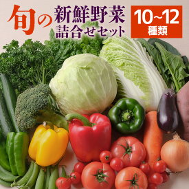 【ふるさと納税】 旬の新鮮野菜 詰め合わせセット 10〜12種類 季節の野菜 農家直送 朝採れ 採れたて 野菜 詰合せ セット 詰め合わせ シャキシャキ 産地直送 無農薬栽培含む 道の駅いたこ 人気 贈答用 ギフト 家庭用 茨城県 潮来市 (A04-002)