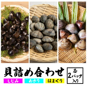 yӂ邳Ɣ[Łz Llߍ킹  120g×2  120g×2 ͂܂ 300g×2 M Y 錧Y   sv  z  pX^ LX̌Ii p Mt